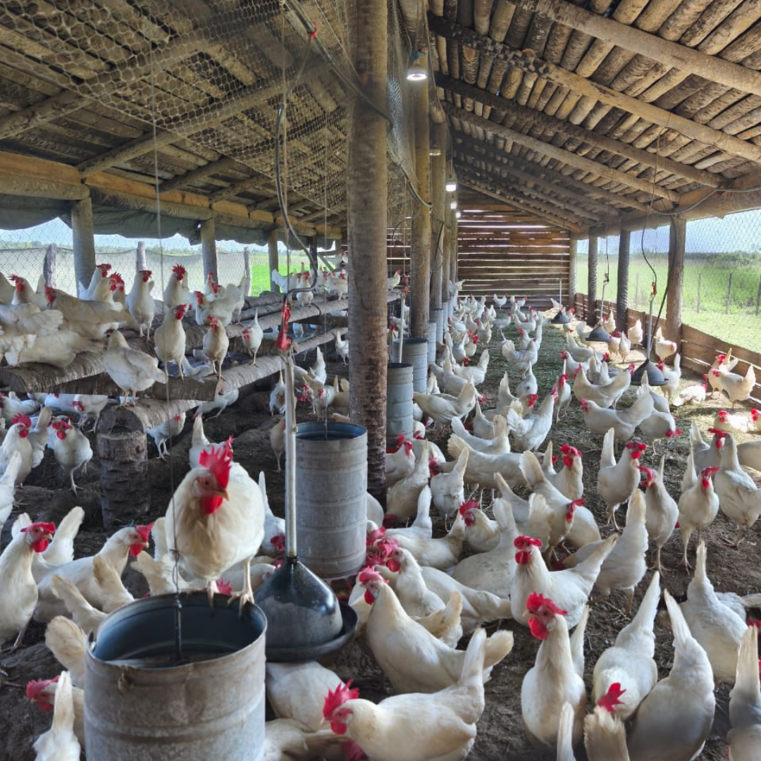 Ing. Agr. Claudia Benítez